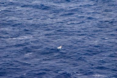 sv_thuriya_02-sml.jpg
