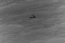 Austrian sailor rescue